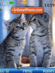 Скриншот темы Two Kitten