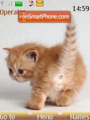 Ginger Kitten es el tema de pantalla