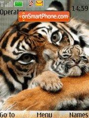 Скриншот темы Tigers