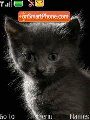 Cute Black Cat tema screenshot