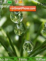 Скриншот темы Green drops