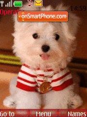 White Puppy tema screenshot