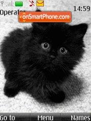 Capture d'écran Black kitten thème