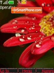 Flower Drops tema screenshot