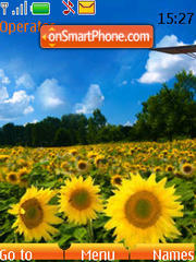 Sunflower clock (SWF) theme screenshot