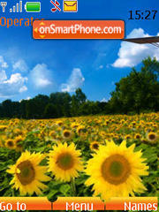 Скриншот темы Sunflower clock (SWF)