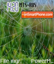 No SPiDER tema screenshot