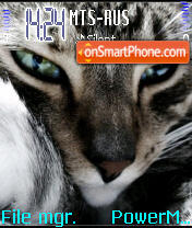 Nice Cat theme screenshot