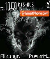 Скриншот темы Skull Gost