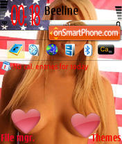 USA tema screenshot