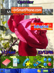 Flowers 10 tema screenshot