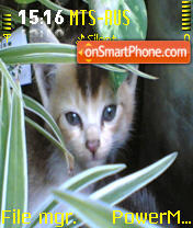 Cat tema screenshot