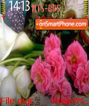 Pink Roses tema screenshot