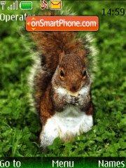 Squirrel tema screenshot