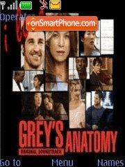 Скриншот темы Greys Anatomy 03