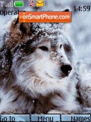 Wolf in winter tema screenshot