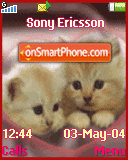 Kitty In Love tema screenshot