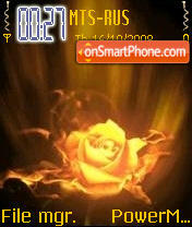Gold Rose tema screenshot