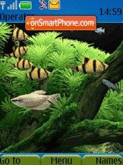 Aquarium tema screenshot