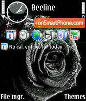 Black Rose 02 theme screenshot