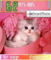 Cat 01 tema screenshot