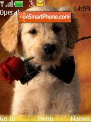 Dogs with Rose theme screenshot