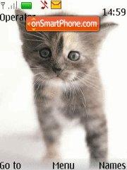 Kitten tema screenshot