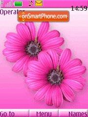 Pink Flowers tema screenshot