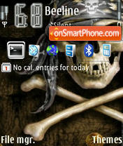 Pirate skull V2 theme screenshot