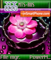 Pink And Green tema screenshot