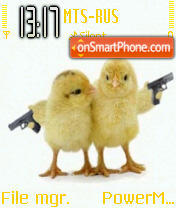 Cute Chicks tema screenshot