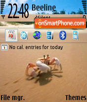 Capture d'écran Crab thème