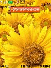 Sunflower tema screenshot