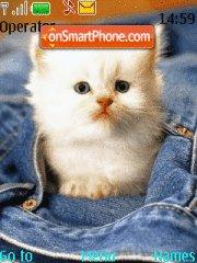 White Kitten tema screenshot