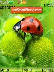 Ladybird tema screenshot