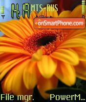 Flowers tema screenshot