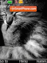 Grey Cat tema screenshot