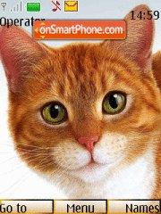 Ginger Cat tema screenshot