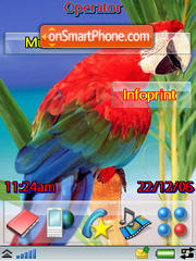 Exotic Birds theme screenshot