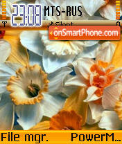 Flowers 12 tema screenshot