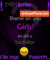 Bachelor theme screenshot