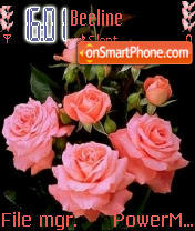 Roses tema screenshot