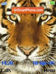 Скриншот темы Tiger