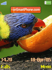 Capture d'écran Animated Bright Bird thème