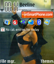 Nicole 03 theme screenshot