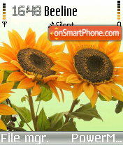 Sunflower es el tema de pantalla