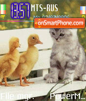 Nice Cat tema screenshot