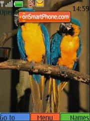 Amazing Birds tema screenshot