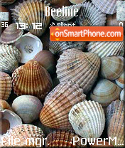 Shells theme screenshot