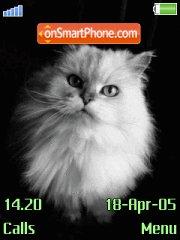 White Cat tema screenshot